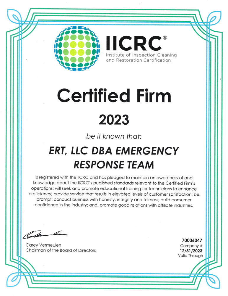 iicrc2023 opt